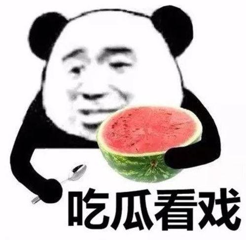 暴走熊猫人娱乐吃瓜,揭秘娱乐圈背后的那些事儿
